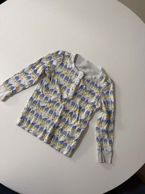 Roller Rabbit Other - Roller Rabbit Kids Pima Cotton Long Sleeve Henley Pajama Top Stripe Duck Print
